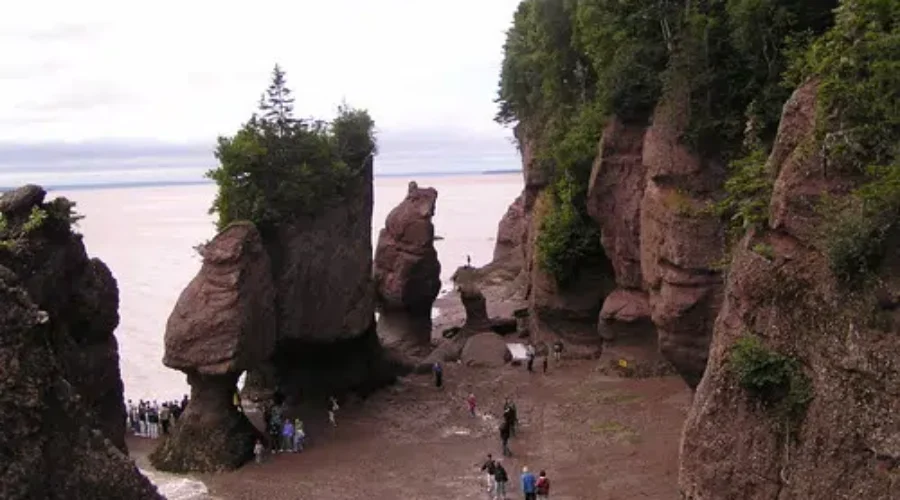 Promising Visitor Numbers At Hopewell Rocks