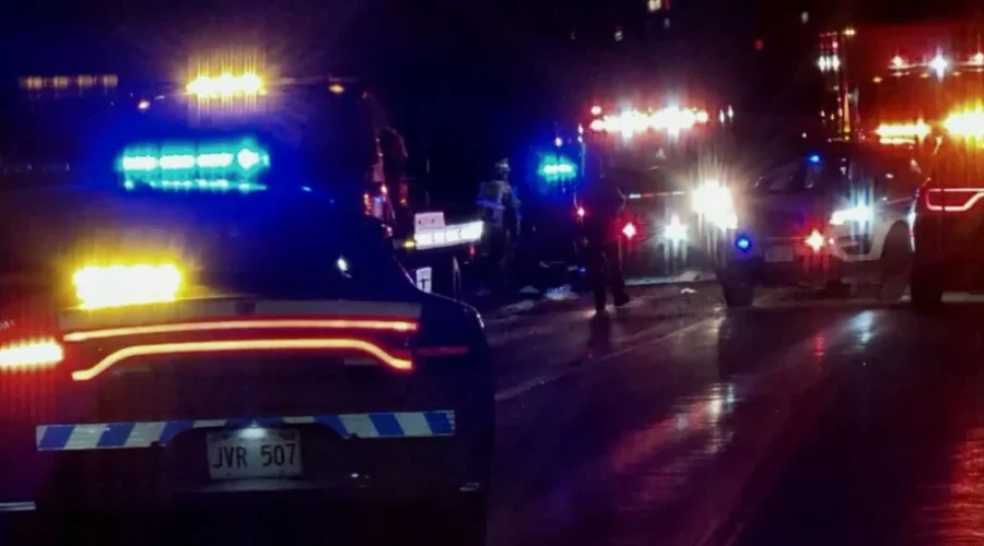 Shediac Man Dead After Crashing Into Tree