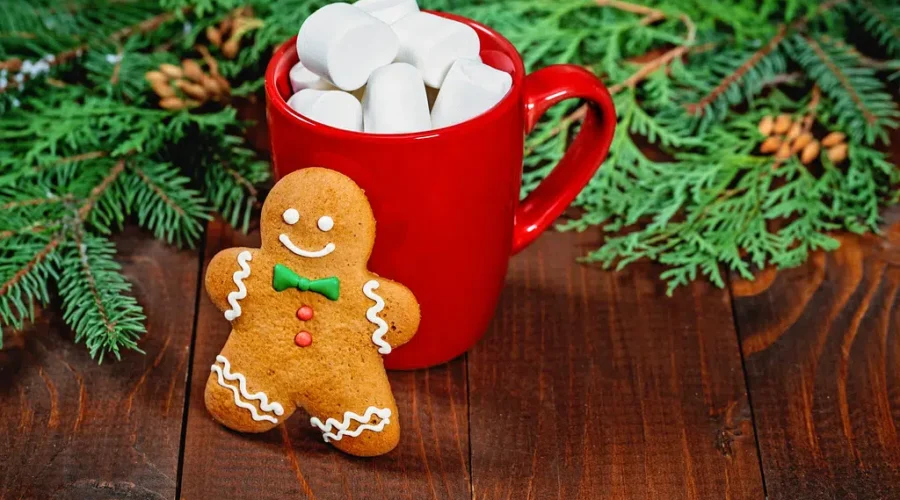 Moncton Headstart Toyland Launches December 6th