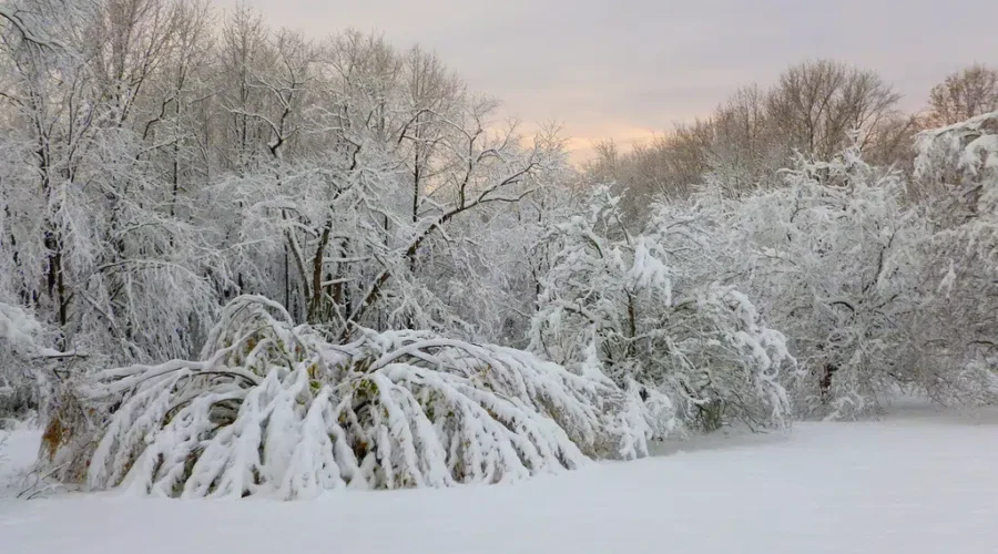 UPDATE: Snowfall Warning For Southeast N.B.