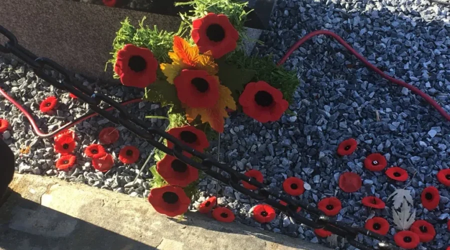 Where To Watch Remembrance Day Ceremonies in Greater Moncton