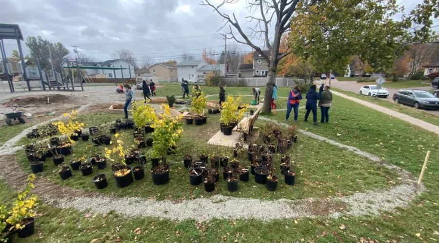 Birchmount School Creates Food Forest