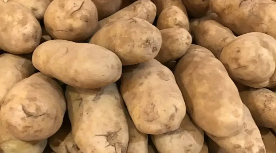 P.E.I. Potato Board Decries Export Ban