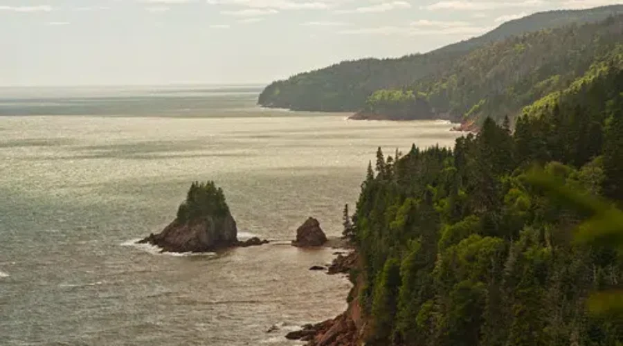 Atlantic Immigration Pilot Program Becoming Permanent in 2022