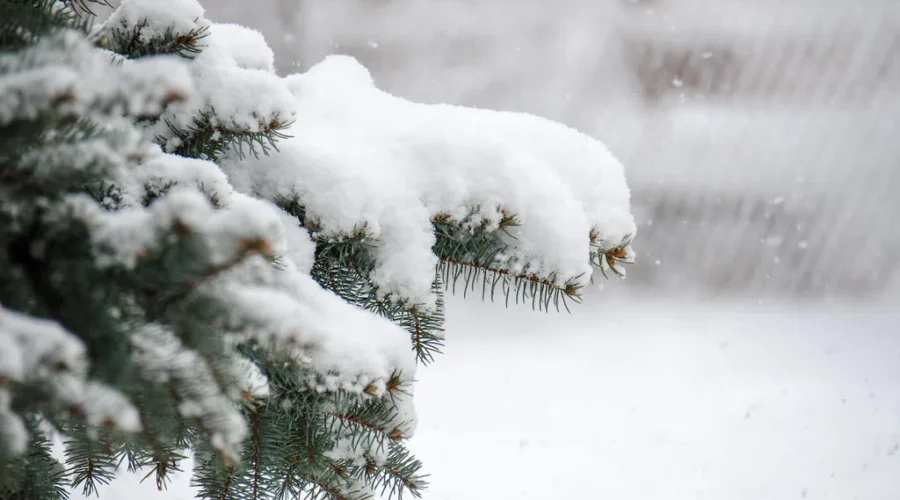 Mixed Precipitation Expected Mid-Week: Environment Canada