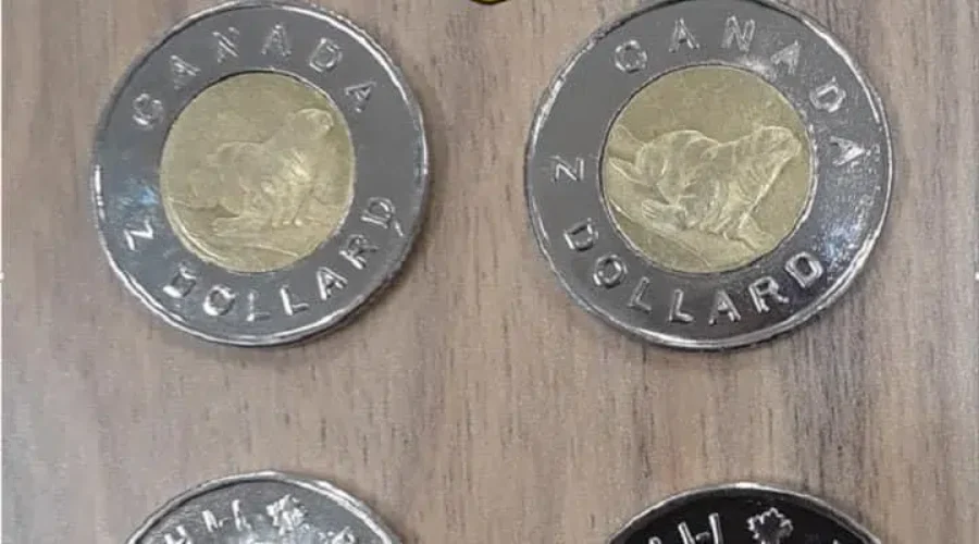 Bogus Toonies spotted in Ontario