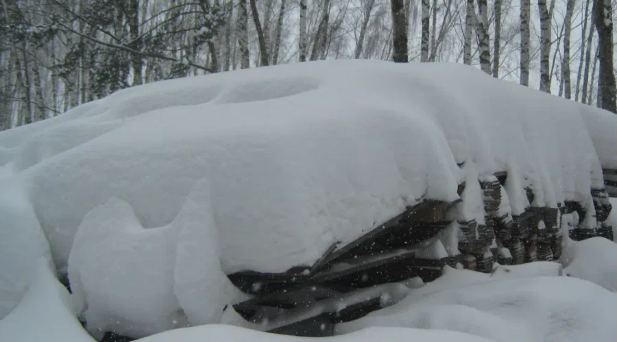 January Snowfall Above Average, But Not Record-Breaking