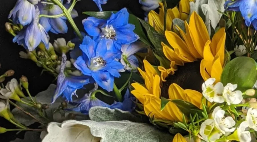 Saint John Florist’s Campaign Raises Money For Ukraine