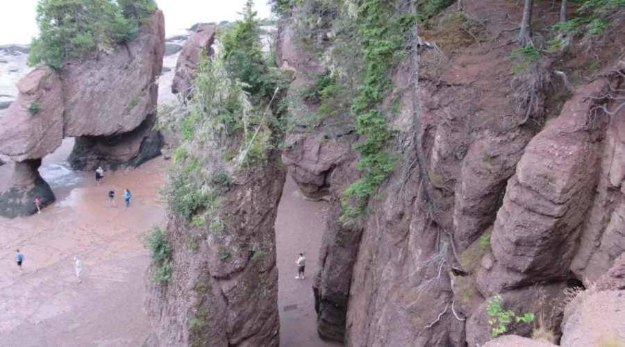 New Organization Promoting Regional Tourism