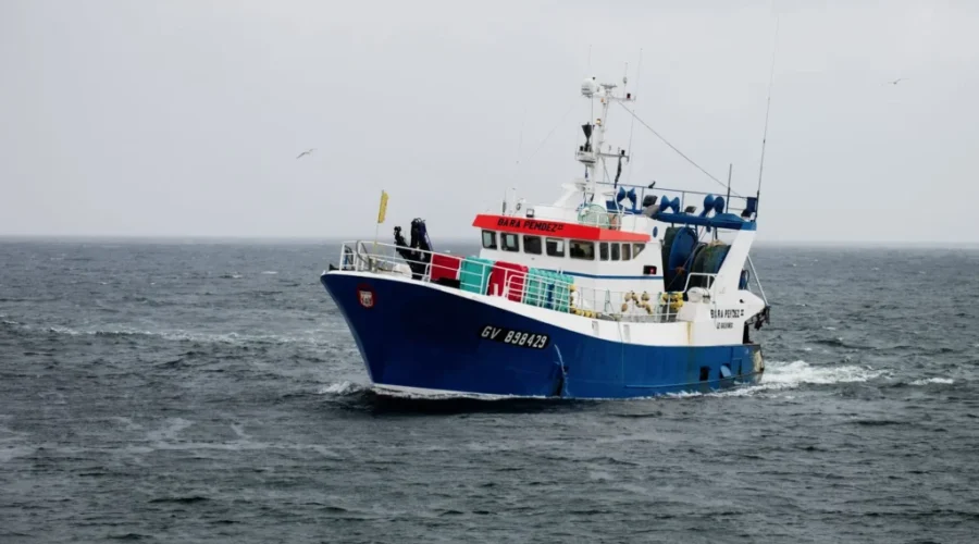 DFO Closes Mackerel Commercial, Bait Fisheries
