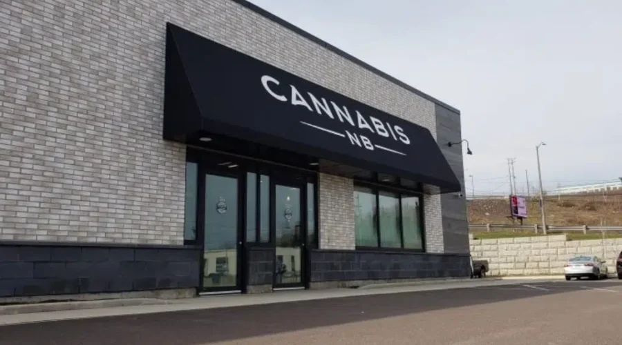After Rocky Start, Cannabis NB Is Debt-Free And Profiting