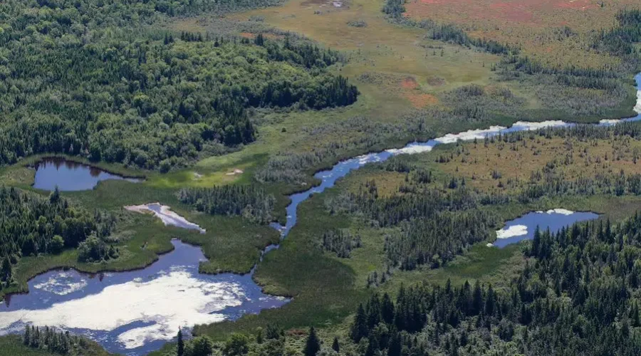 Massive Land Donation Made On The Chignecto Isthmus