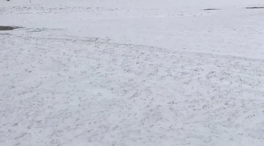 Waking Up To A Winter Wonderland In March