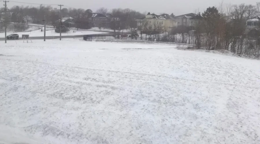 Poor Man’s Fertilizer?