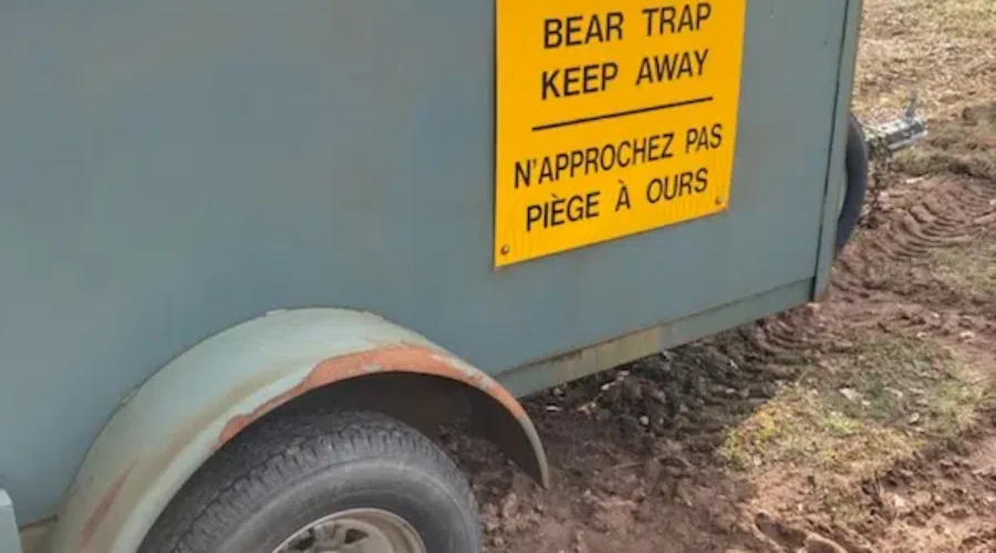 Man Attacked By Bear In Grand-Barachois