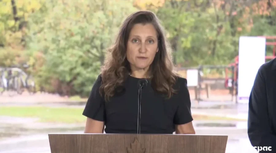 Deputy PM, Others Leave G20 Meeting Over Ukraine War