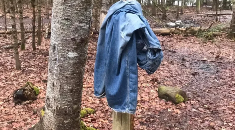 Anyone lose their pants on the Dobson trail? (??!!)