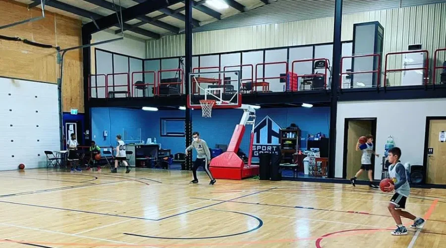 Can You Open Your Home To A Basketball Player?