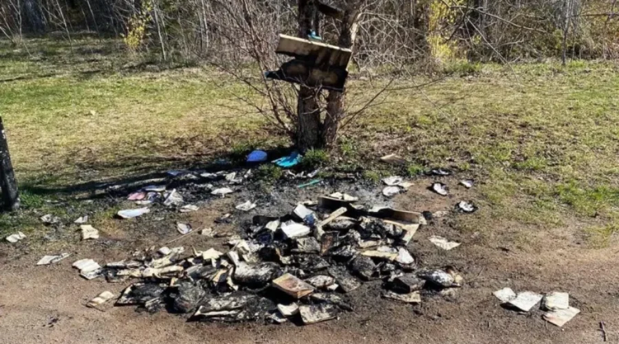 Plans To Rebuild After Book Box Burned