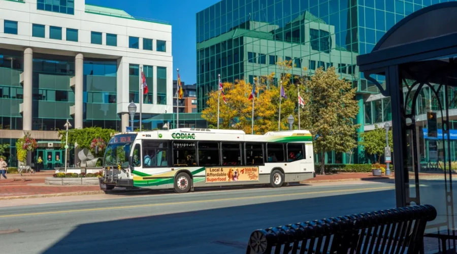 Study To Examine Feasibility of Electric Buses