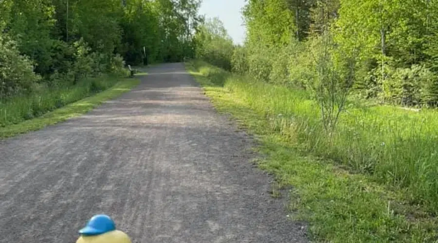 Bike Stolen From Moncton Mayor’s Garage
