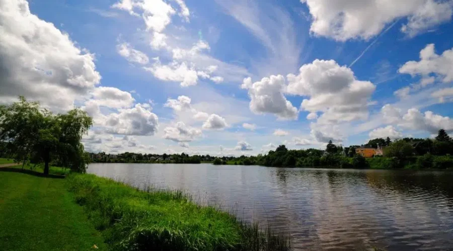 Frustrations Building About Crime In The West End