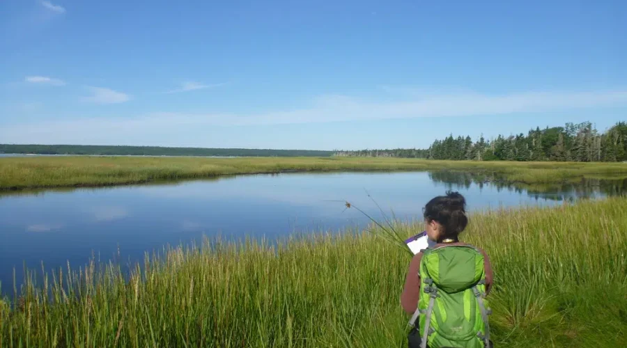 Nature Conservancy Looking For Ways To Reach Conservation Goals