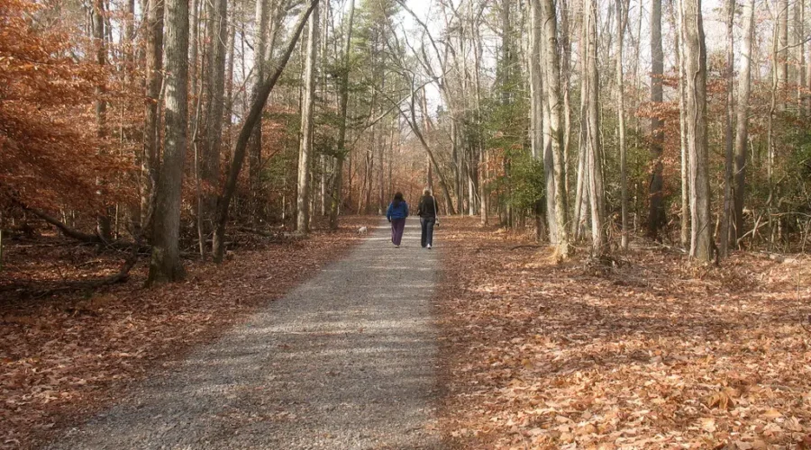 Input Needed In Dieppe For Parks And Trails