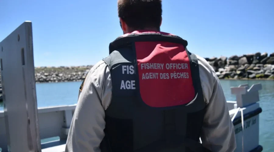 DFO Looking To Hire 200 Officers In Three Years