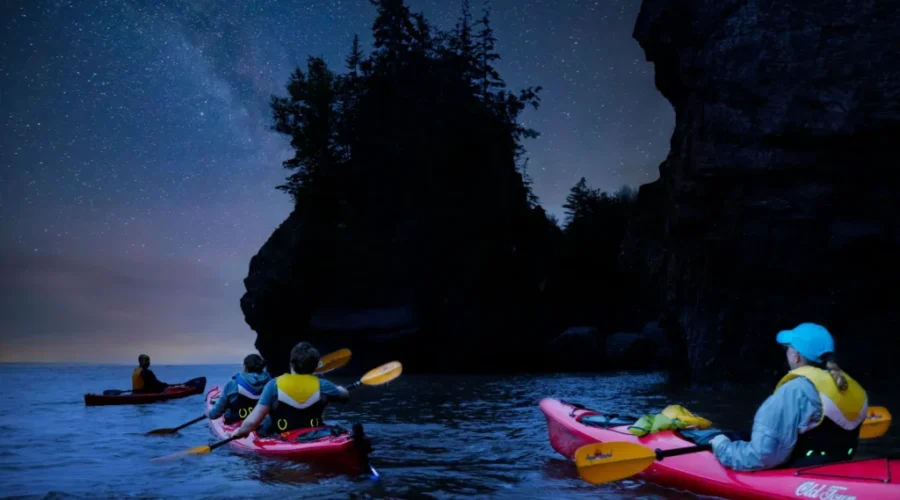 Kayak The Hopewell Rocks After Dark