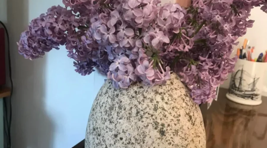 One of the best smells of summer!