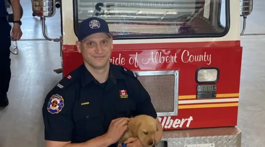 K9 Therapy Program Introduced For Riverview