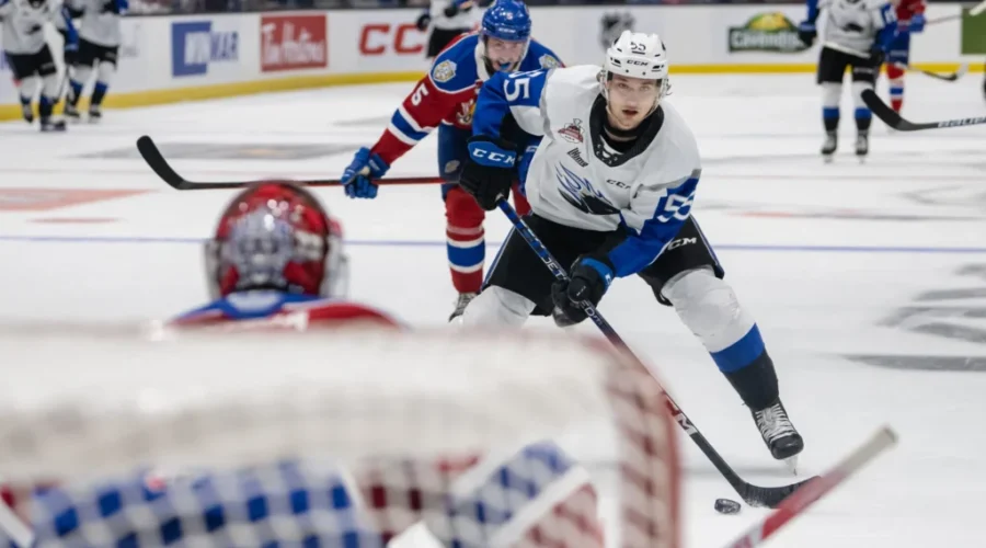 Sea Dogs Fall To Edmonton In Overtime