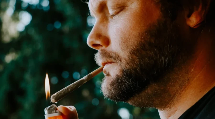 N.B. Cannabis Farm Seeks Volunteer Pot Testers