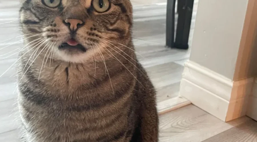 Normal behavior…or? Click to watch video