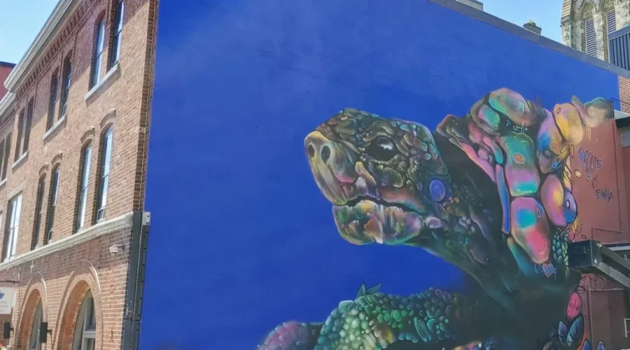 Colour And Creativity Through Festival Inspire