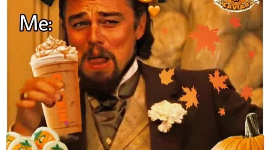 This perfectly sums up my feelings right now!