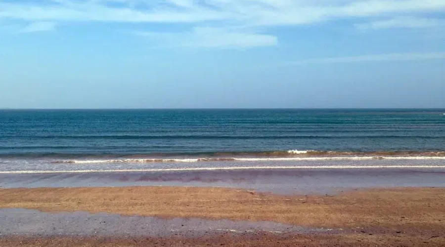 CIBC Poll Finds Inflation Taking Toll On Summer Plans