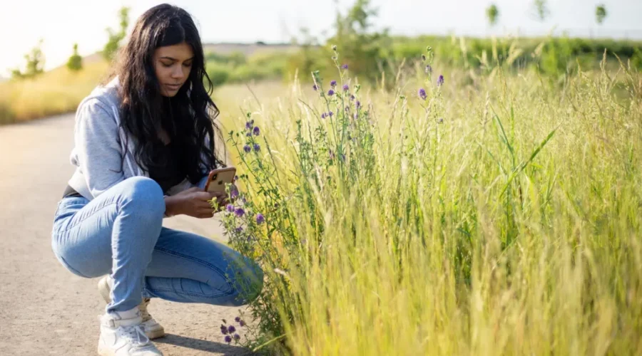 Over 40,000 Photos, Sounds And Videos For Backyard BioBlitz