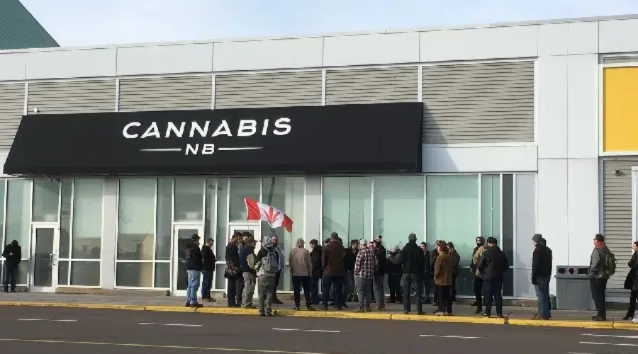 Cannabis NB Opens In Riverview