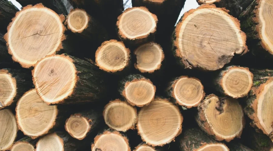 Canada Formally Challenges U.S. Softwood Lumber Duties