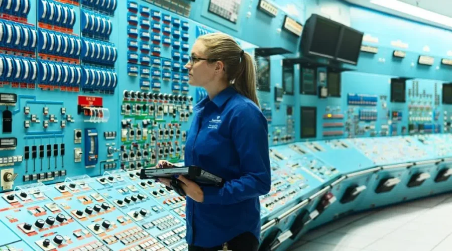 Point Lepreau Taken Offline Once Again