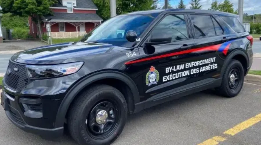 More Community Safety Officers Hired