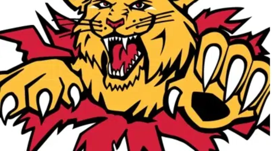 Storm Forces Postponement of Moncton Wildcats Home Opener