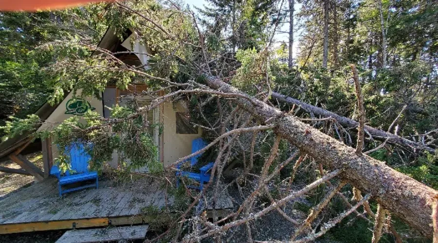 Cleanup Underway At Fundy National Park