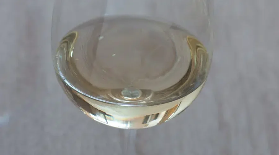 Wine Expo Returns After Two Year Pandemic Hiatus