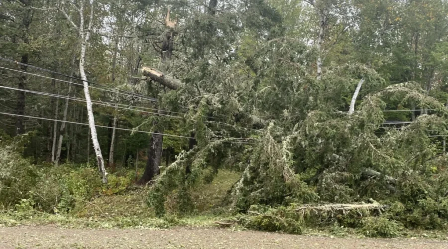 Two Drop-Off Sites For Fiona-Related Debris