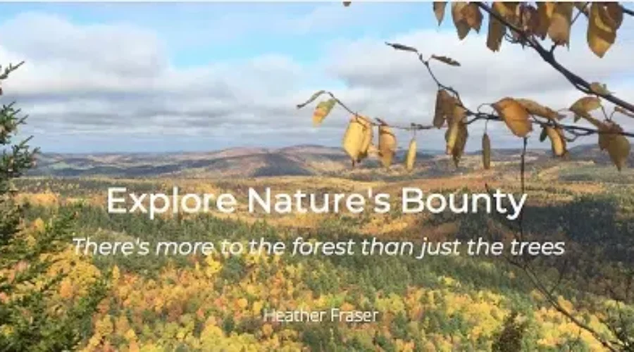 Connecting With Nature Is Focus Of New Venture