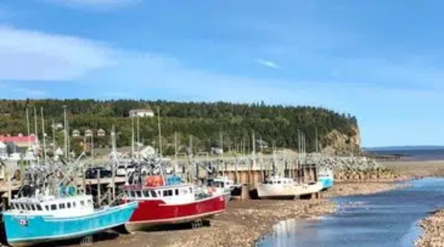 N.B. Fishers Could Be Required To Wear Life Jackets