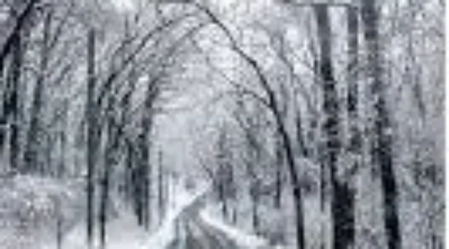 Winter Travel Mistakes To Avoid